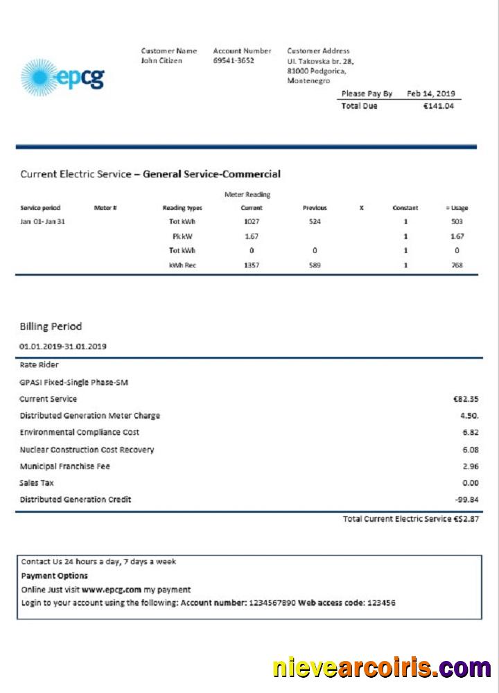 Montenegro Elektroprivreda Crne Gore EPCG electricity utility bill